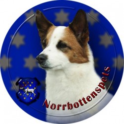 Norrbottenspets
