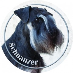 Schnauzer