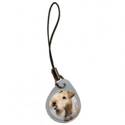 Lakeland Terrier
