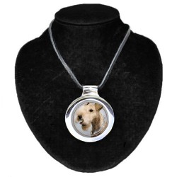 Lakeland Terrier