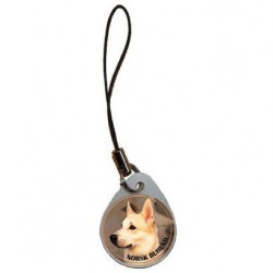 Norsk Buhund