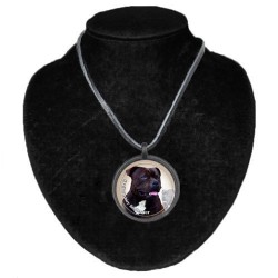 Staffordshire Bullterrier