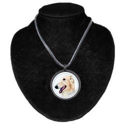 Borzoi