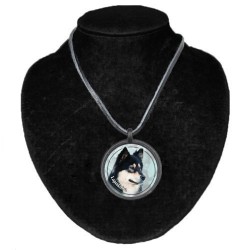 Finnish Lapphund