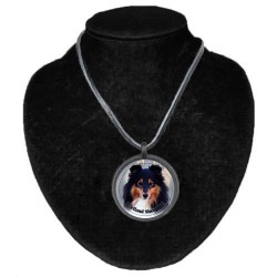 Shetland Sheepdog