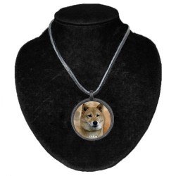 Shiba