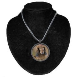 Dachshund