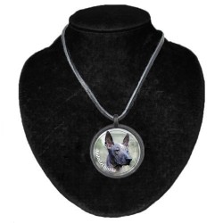 Xoloitzcuintle