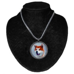Akita-Inu
