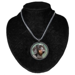 Dachshund