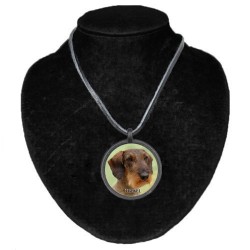 Dachshund