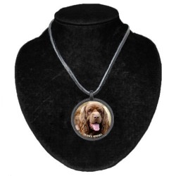 Sussex Spaniel