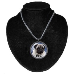 Pug