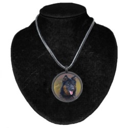 Old German Shepherd Dog