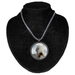 Bedlington Terrier