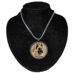 Belgian Shepherd Dog - Malinois