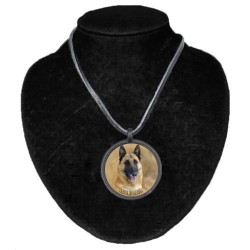 Belgian Shepherd Dog - Malinois