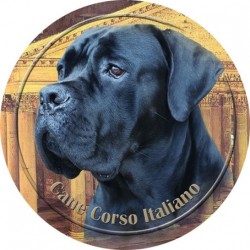 Cane Corso
