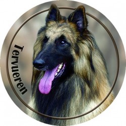 Belgian Shepherd Dog - Tervueren