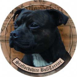 Staffordshire Bullterrier