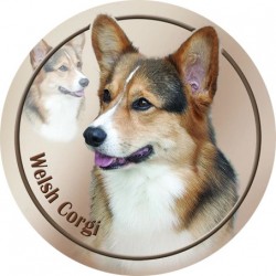 Welsh Corgi