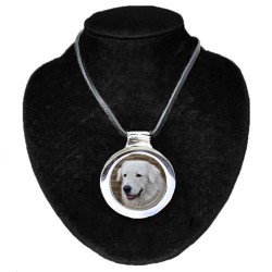 Maremma Sheepdog