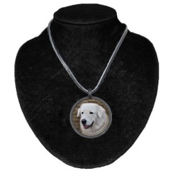 Maremma Sheepdog