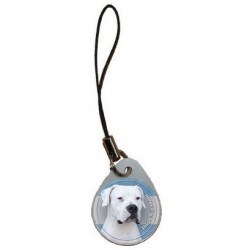 Dogo Argentino