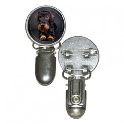 Dachshund