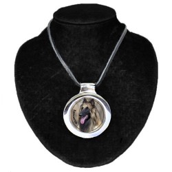 Belgian Shepherd Dog - Tervueren
