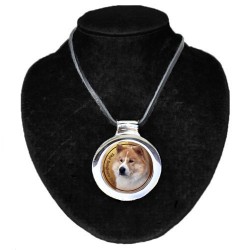 Thai Bangkaew Dog