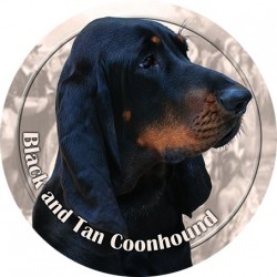 Black and Tan Coonhound