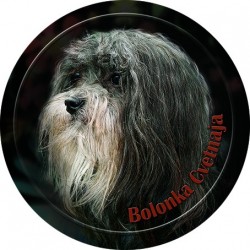 Bolonka Zwetnaya