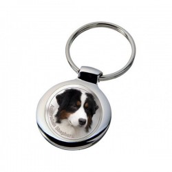 Australian Shepherd