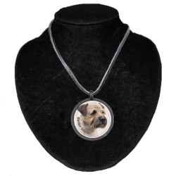 Border Terrier