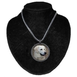 Kuvasz