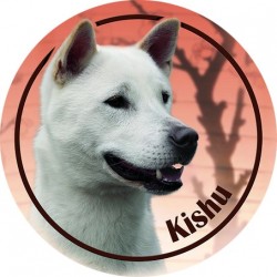 Kishu