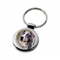 Louisiana Catahoula Leopard Dog
