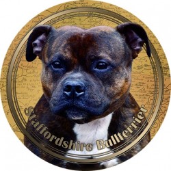 Staffordshire Bullterrier