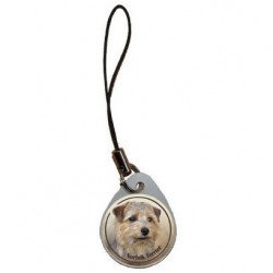 Norfolk Terrier