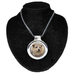 Norfolk Terrier