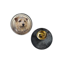 Norfolk Terrier