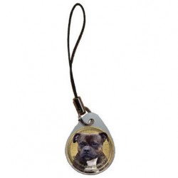 Staffordshire Bullterrier