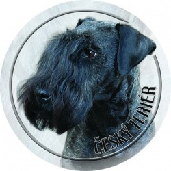 Czech Terrier