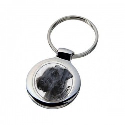 Czech Terrier