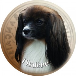 Phalène