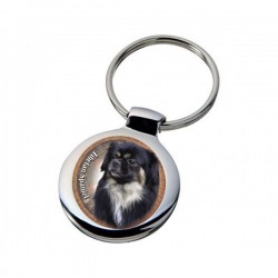 Tibetan Spaniel