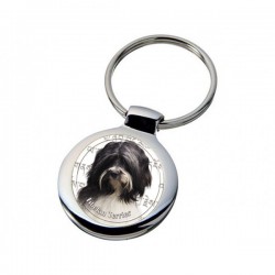 Tibetan Terrier