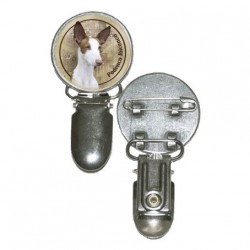 Podenco Ibicenco
