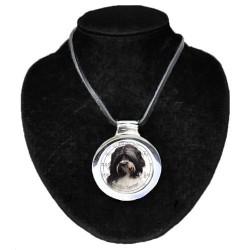 Tibetan Terrier